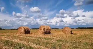 Завтра в Украине ожидается до +34, местами дожди с грозами