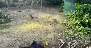 Втратив кінцівки: на Закарпатті через вибух гранати тяжко травмувався 16-річний підліток