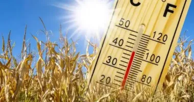 Завтра в Україні буде спека до +37 градусів