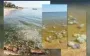 Ситуація в Азовському морі близька до екологічної катастрофи - ЦПД