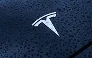 Tesla потеряла половину продаж в Великобритании и Германии