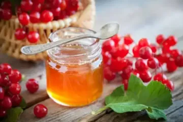 Более 700 гривен за литр: почему выросла цена на мед и будет ли спадать