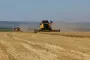 Russia to sell crops from occupied areas of Ukraine