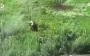 Border guards struck Russian vehicles, shelters, boat, dugouts, antennas, and firing positions. VIDEO