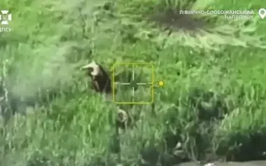 Border guards struck Russian vehicles, shelters, boat, dugouts, antennas, and firing positions. VIDEO