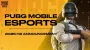 PUBG Mobile меняет правила гранд-финала Кубка мира: аутсайдеры получат второй шанс