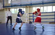 В Прикарпатье прошел турнир по боксу, посвященный памяти защитников страны