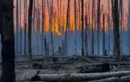 РФ задіює дрони для наступу в лісах Донбасу - ISW