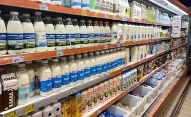 Ціни на молочні продукти продовжують дивувати: що знизилось у вартості, а що продовжує триматись