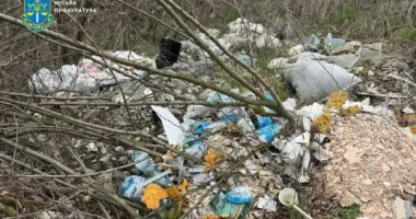 КМДА через суд змушують прибрати стихійні сміттєзвалища на Троєщині