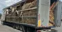 Во Львовской области разоблачили женщину, которая организовала незаконный экспорт лесоматериалов в ЕС