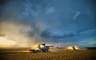 В Україні обмолотили половину засіяних площ ранніх зернових