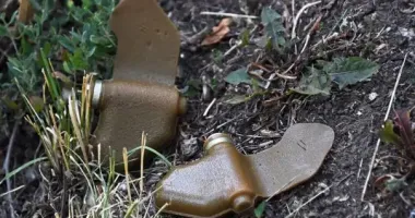Косив траву і підірвався на міні: нещасний випадок на Харківщині