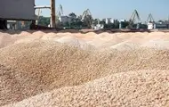 Україна продала мільйон тонн пшениці нового врожаю