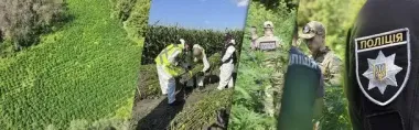 В Украине поймали 9 «джентльменов», которые за деньги планировали травить людей
