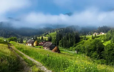 Не море, а краще: 9 прохолодних локацій України, де дихається легко навіть у спеку