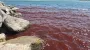 Стало кроваво-красным: Галилейское море, которое упоминается в Библии, напугало туристов (видео)