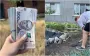 "Искала почти год": украинка купила в селе дом за 30 тысяч гривен — как это возможно