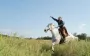 Прізвища козацьких та повстанських родів, що живуть й сьогодні: а ваше там є?
