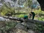 Шалені збитки за тиждень: Держекоінспекція України нарахувала шкоди на 5 мільйонів
