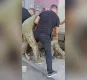 В Днепре работники ТЦК избили ветерана: начато расследование