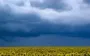 В Украине прогнозируют до +33°, местами грозы и град