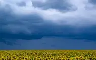 В Україні прогнозують до +33°, подекуди грози та град