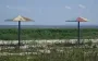Территория Каховского водохранилища регулярно воспламеняется - экоинспекция