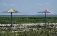 Територію Каховського водосховища регулярно охоплює вогонь - екоінспекція