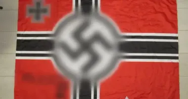 Фото зі свастикою: 23-річній киянці загрожує до 5 років тюрми