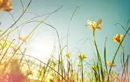 Погода в Україні: місцями дощі, температура до 29°