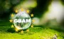 Бізнес перебуває у вкрай важкому становищі, маємо досягти відтермінування СВАМ, - експерт