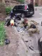 Росіяни підірвали власних агентів в Україні: що відомо (фото)
