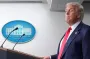 Трамп на зустрічі з Путіним вимагатиме зупинити війну в Україні