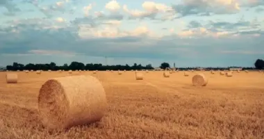 Україну накриє антициклон: якою буде погода 12 серпня