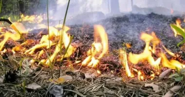 В Україні — найвищий рівень пожежної небезпеки: перелік областей