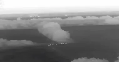 На Закарпатье задержали 19 нелегалов, пытавшихся пересечь границу со Словакией