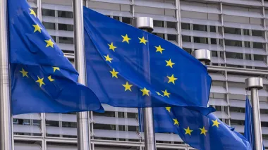 Європейські топ-парламентарі про саміт на Алясці: РФ не має отримати нагороду територіями за агресію