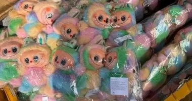 Контрабанду фейкових "Лабубу" на понад 500 000 грн викрили на Закарпатті