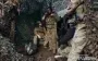 Прорив фронту на Донбасі: яка зараз ситуація