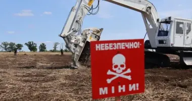 В ГСЧС показали, как саперы разминируют сельскохозяйственные угодья в Харьковской области