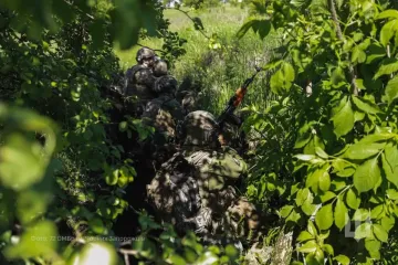 Можно "зашпилить" прорыв: боец ВСУ объяснил, как удержать Родинское несмотря на продвижение ВС РФ