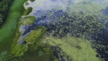 Вода в Днепре стремительно цветет: причины и безопасна ли вода в кранах