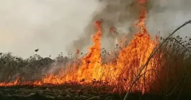 На Харківщині дві жінки намагались загасити пожежу: одна з них загинула