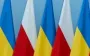  У посольстві прокоментували затримання 17-річного українця у Польщі