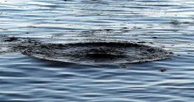 У селі Житомирської області потонув 39-річний чоловік