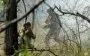 Прорив під Добропіллям: у ЗСУ пояснили ситуацію