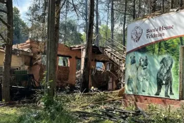 Ди Каприо стал продюсером нового фильма про полномасштабное вторжение рф в Украину: скоро премьера