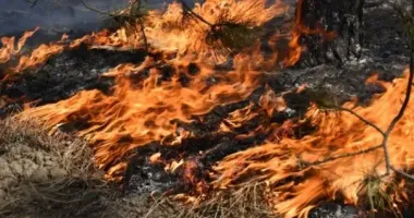 Ризик масштабних пожеж: у більшості регіонів оголошено п'ятий рівень небезпеки