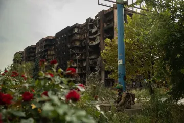 "Могильные цветы": украинцев в сети возмутило фото роз в Покровске